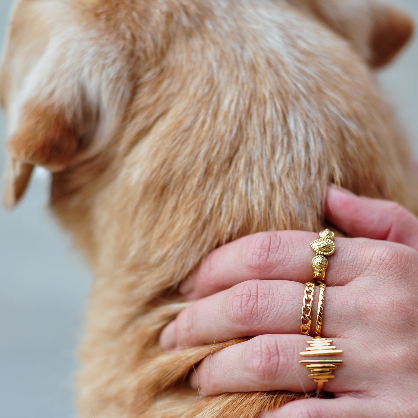 anéis bonitos, diferentes, originais, my golden girl, aço inoxidável