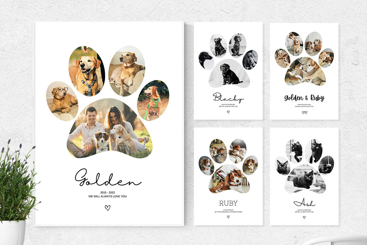 Poster colagem de fotografias | memorial patinha