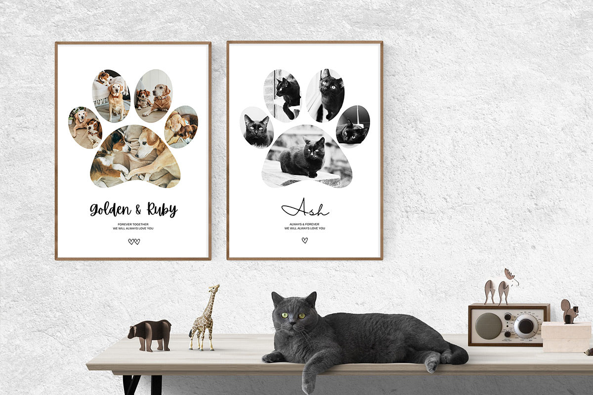 Poster colagem de fotografias | memorial patinha