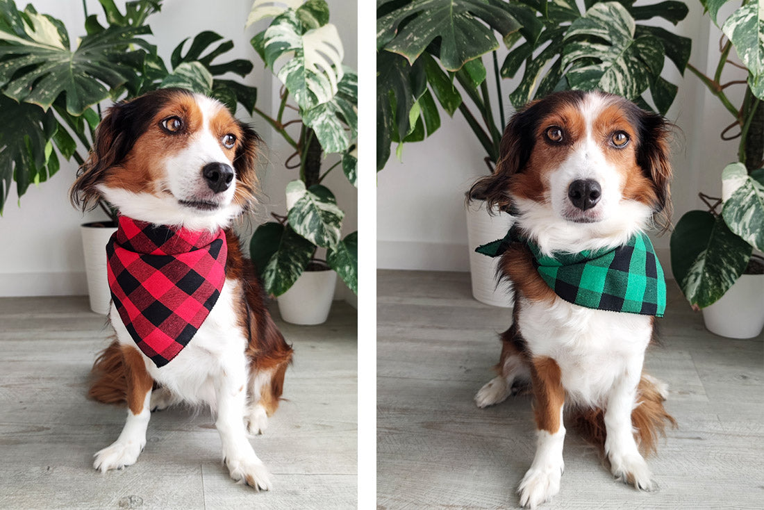 Xadrez Bandana - several colors