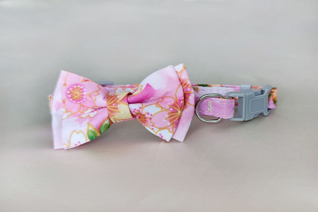 Floral Pink Mini Collar