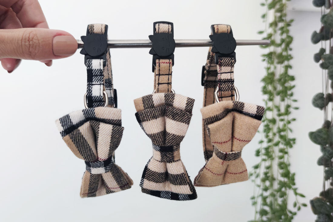 Coleira Catberry Mini