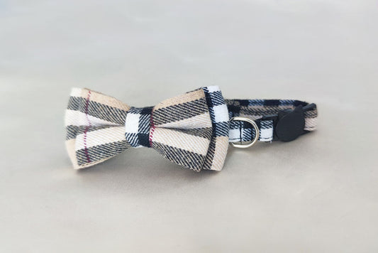 Coleira Catberry Mini