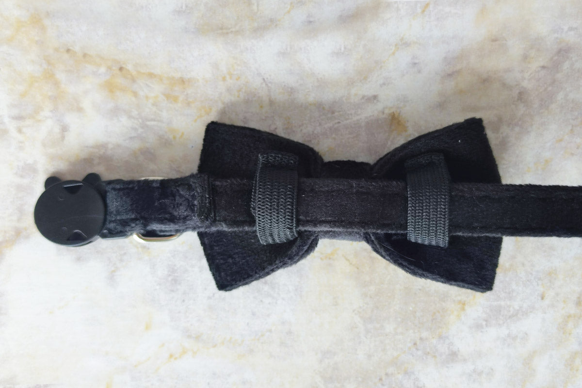 Coleira Velvet Black Mini