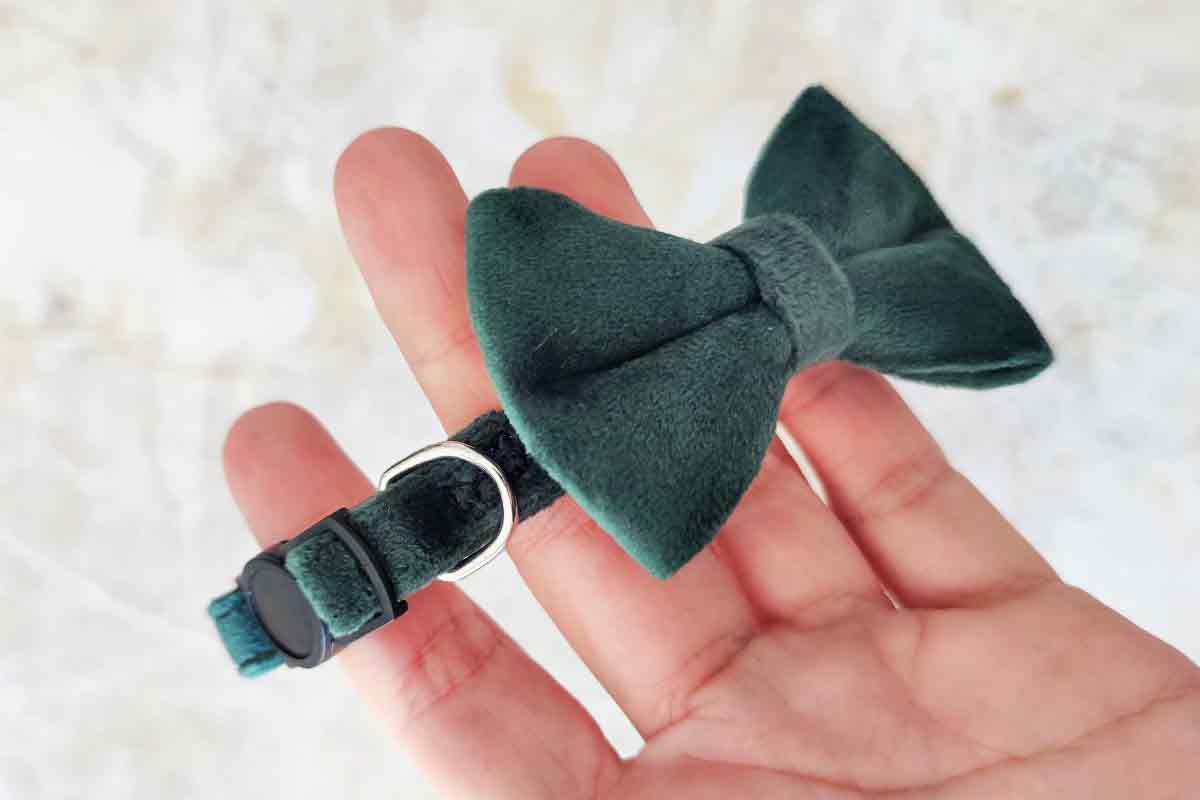 Coleira Velvet Green Mini