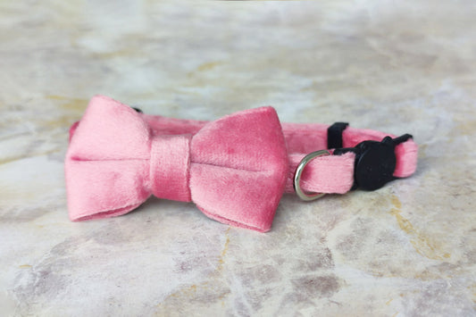 Coleira Velvet Rose Mini