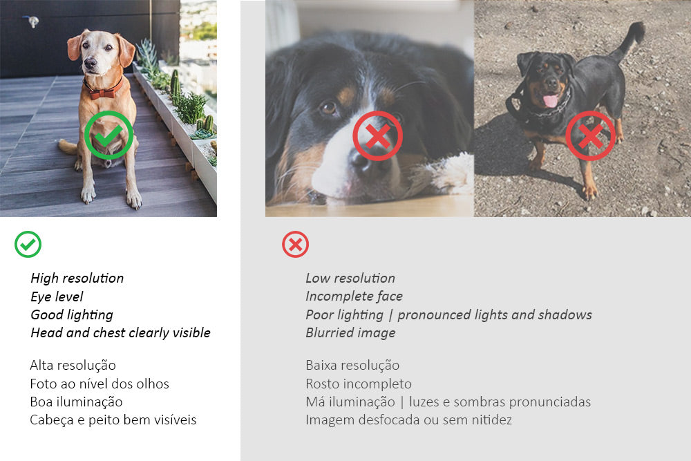 Custom pet portrait | memorial