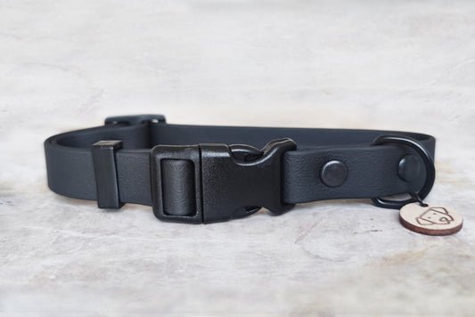 Coleira Light Meteor