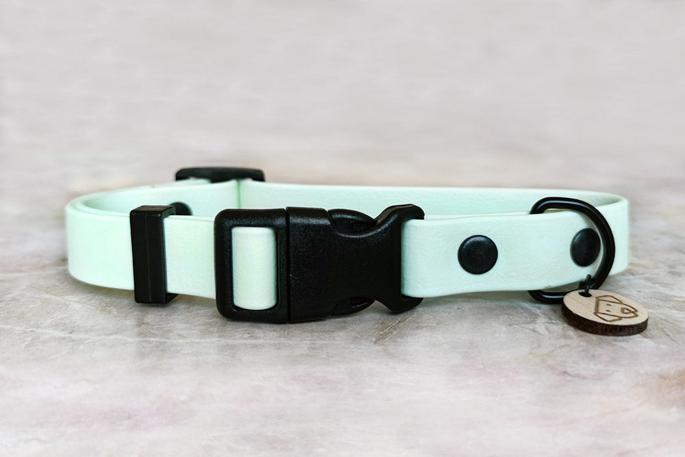 Coleira Light Mint