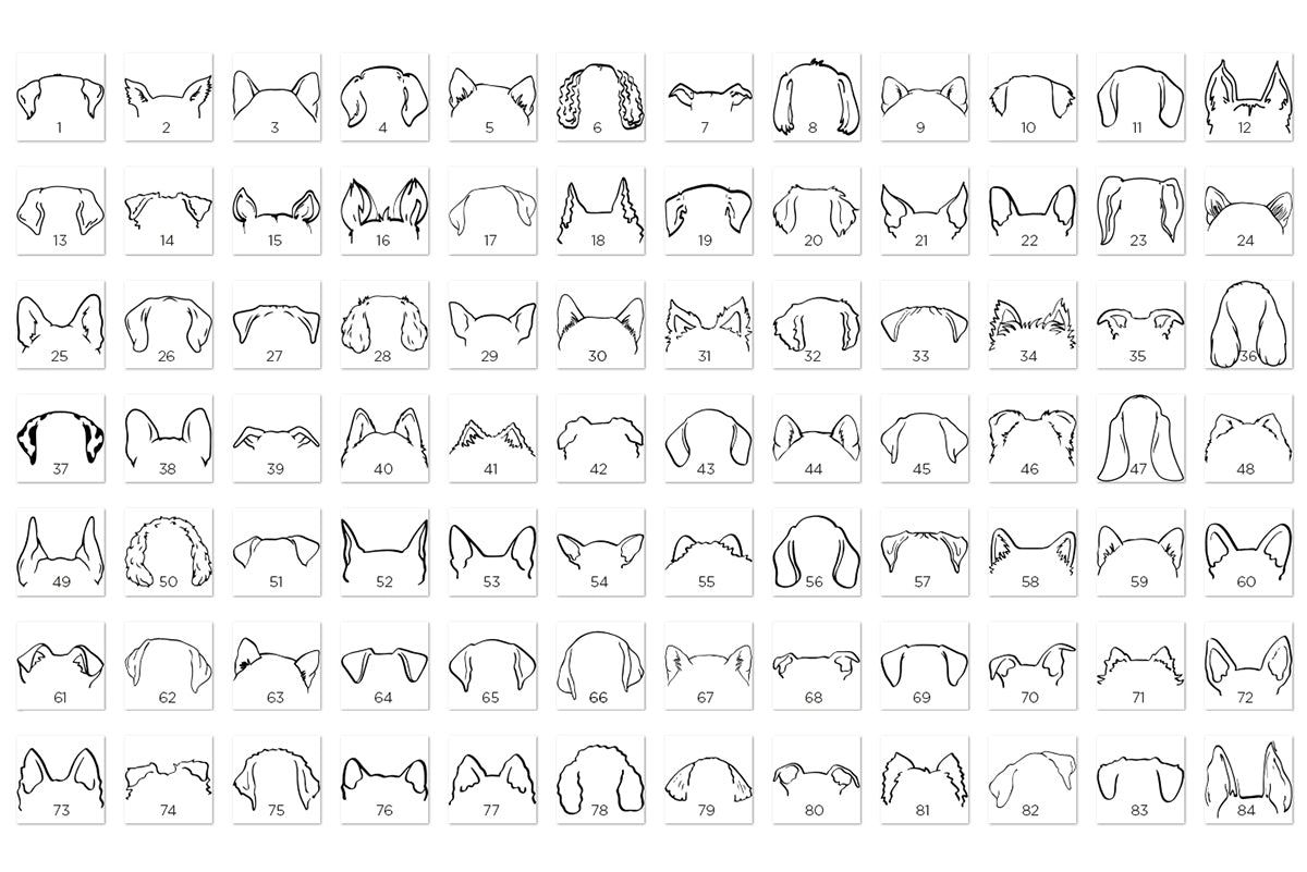 Quadro ilustração orelhas | Memorial cão