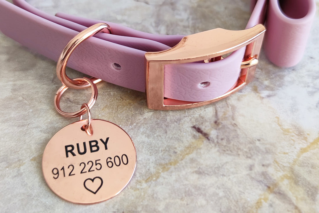 A Medalha de Identificação Goldy em forma redonda, rode gold, oferece segurança e classe ao seu animal de estimação. Com texto personalizável, opção para gravar em ambos os lados da placa e gravação laser duradoura, esta chapa é ideal para cães. Feita com aço inox , é anti-ferrugem, resistente e anti-oxidável.