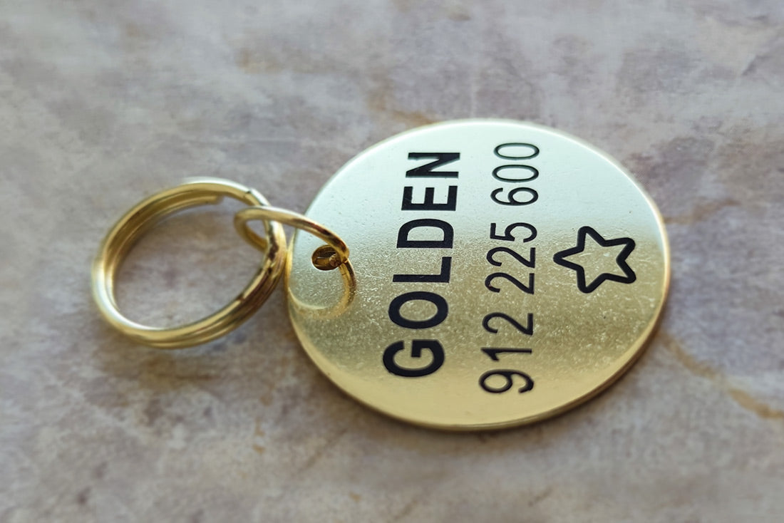 A Medalha de Identificação Goldy em forma dredonda e dourada oferece segurança e classe ao seu animal de estimação. Com texto personalizável, opção para gravar em ambos os lados da placa e gravação laser duradoura, esta chapa é ideal para cães. Feita com aço inox , é anti-ferrugem, resistente e anti-oxidável.