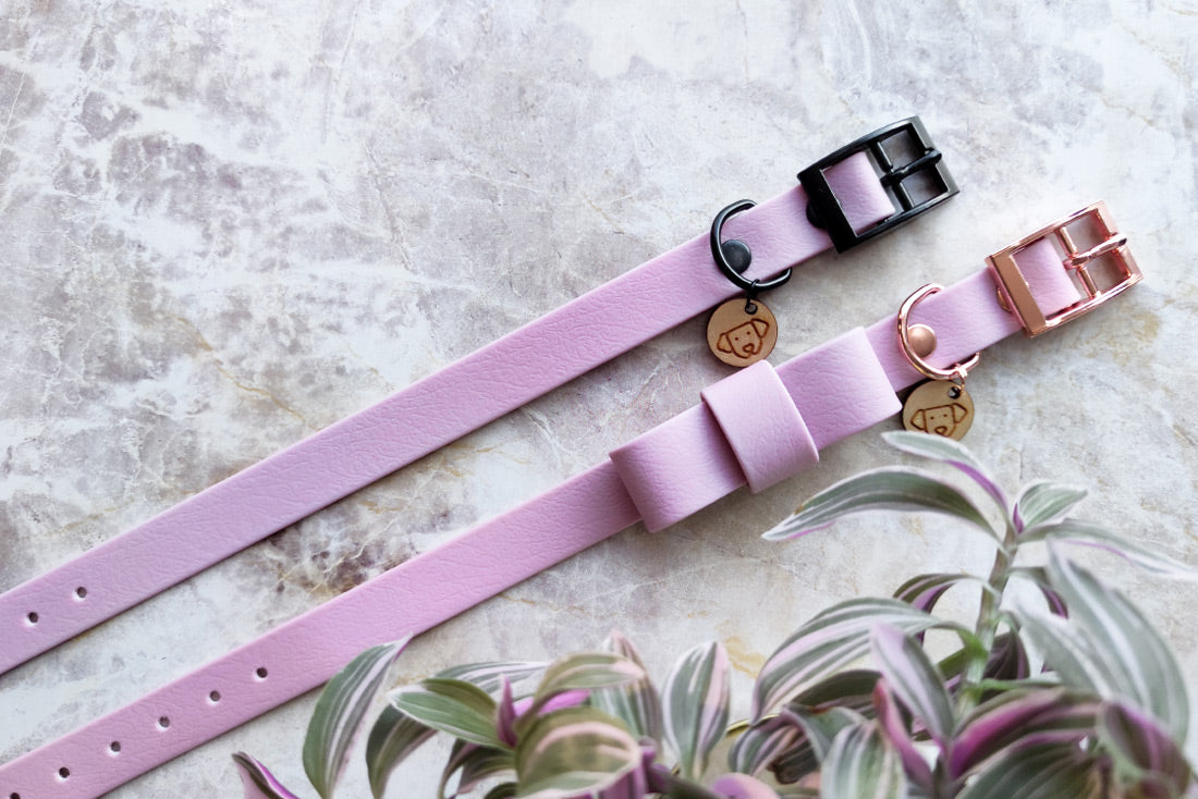 Classic Lavender Collar