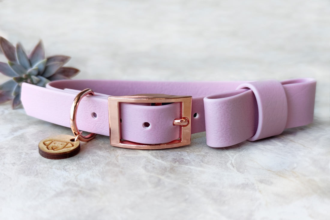 Classic Lavender Collar