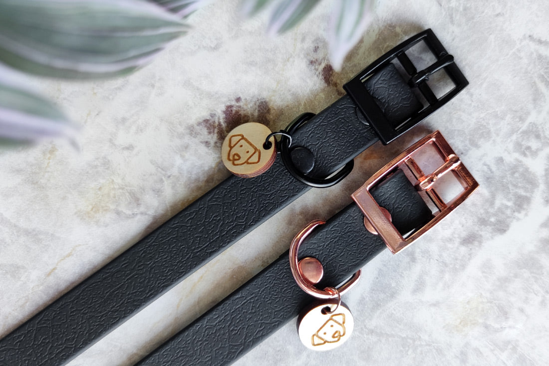 Coleira Classic Meteor