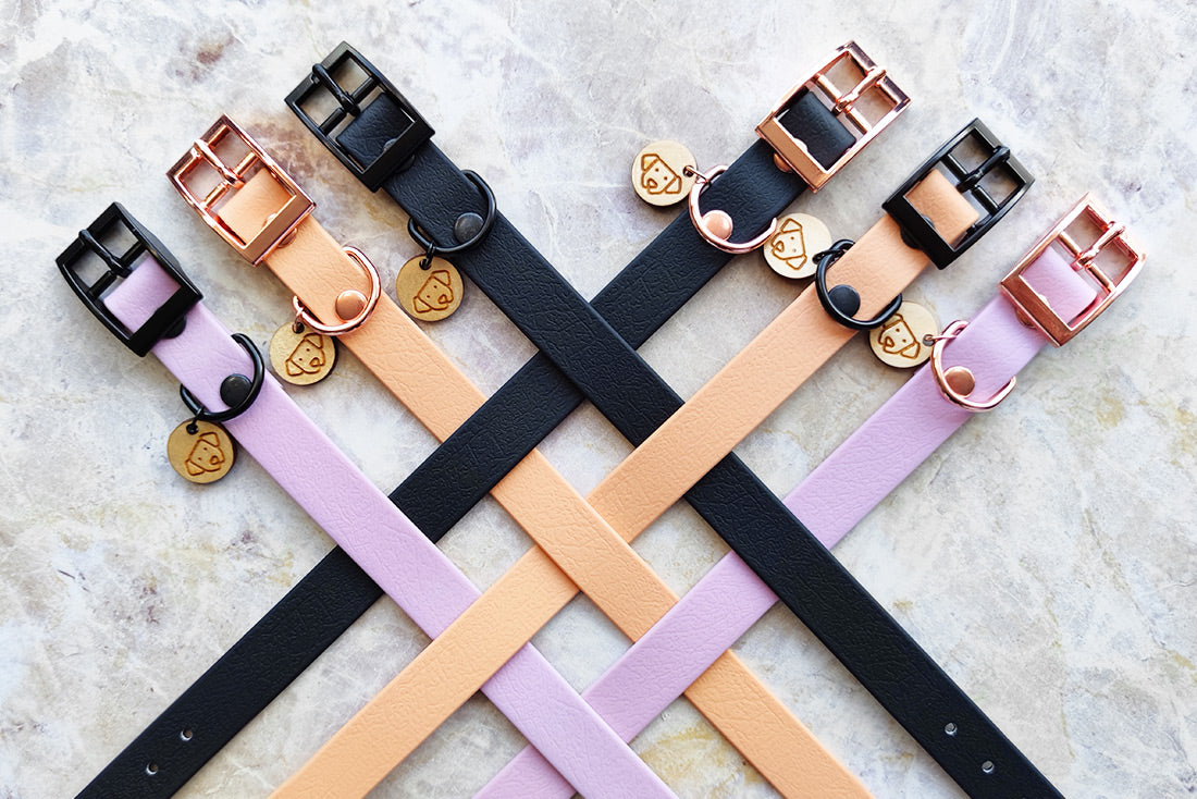 Classic Lavender Collar