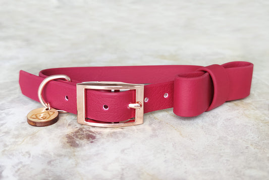 Coleira Classic Ruby