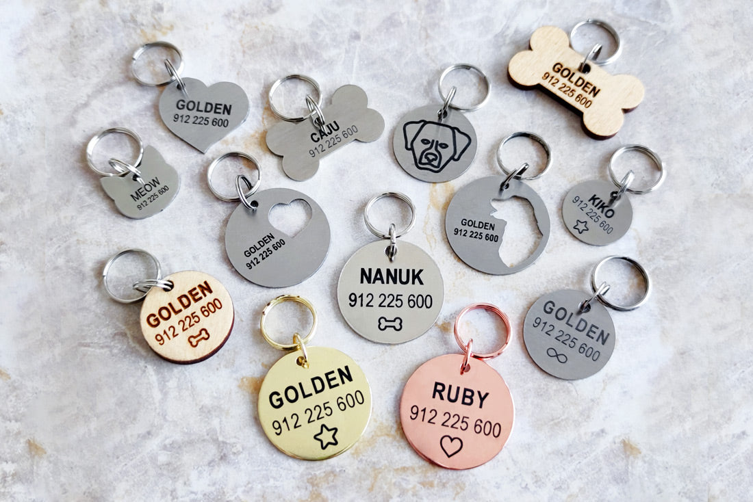 Holmes Mini ID tag
