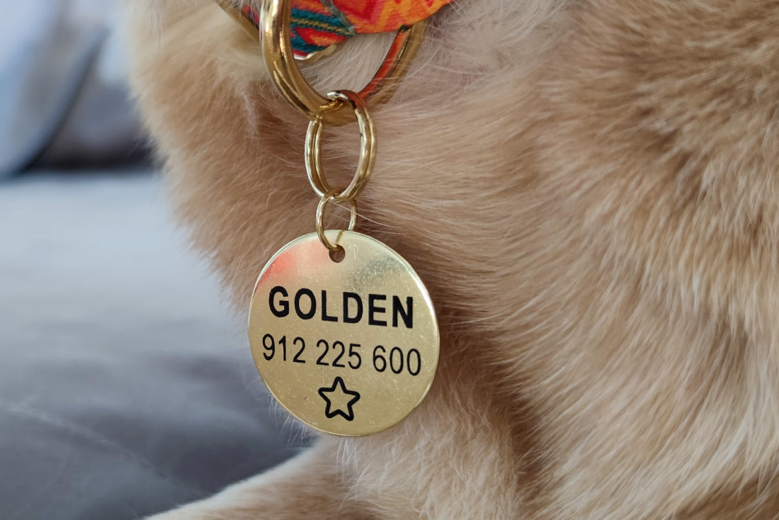 A Medalha de Identificação Goldy em forma dredonda e dourada oferece segurança e classe ao seu animal de estimação. Com texto personalizável, opção para gravar em ambos os lados da placa e gravação laser duradoura, esta chapa é ideal para cães. Feita com aço inox , é anti-ferrugem, resistente e anti-oxidável.