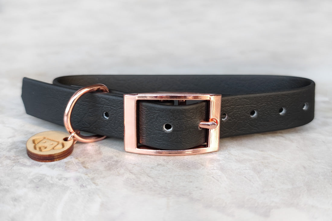 Classic Meteor Collar