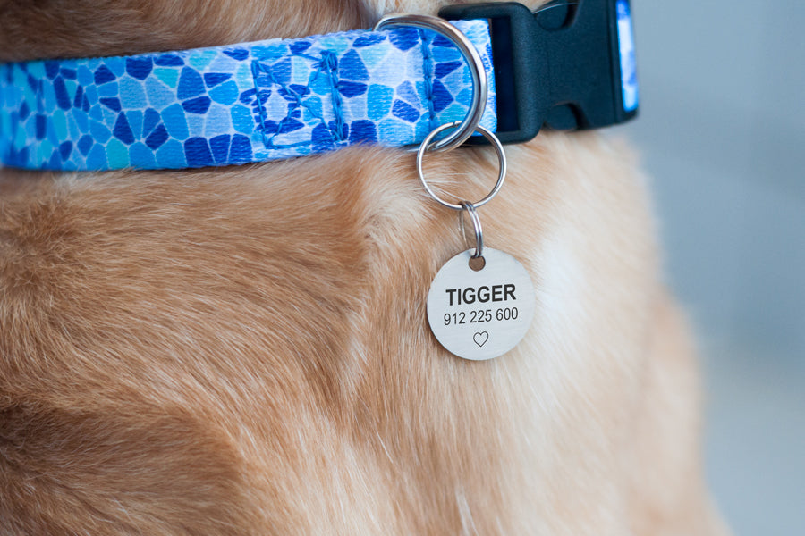 Holmes Mini ID tag