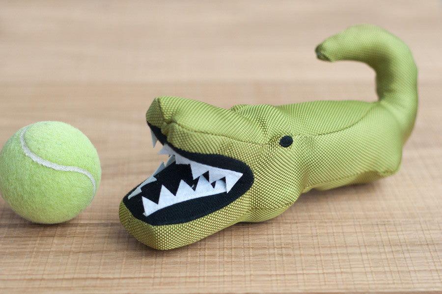 Aretha Alligator