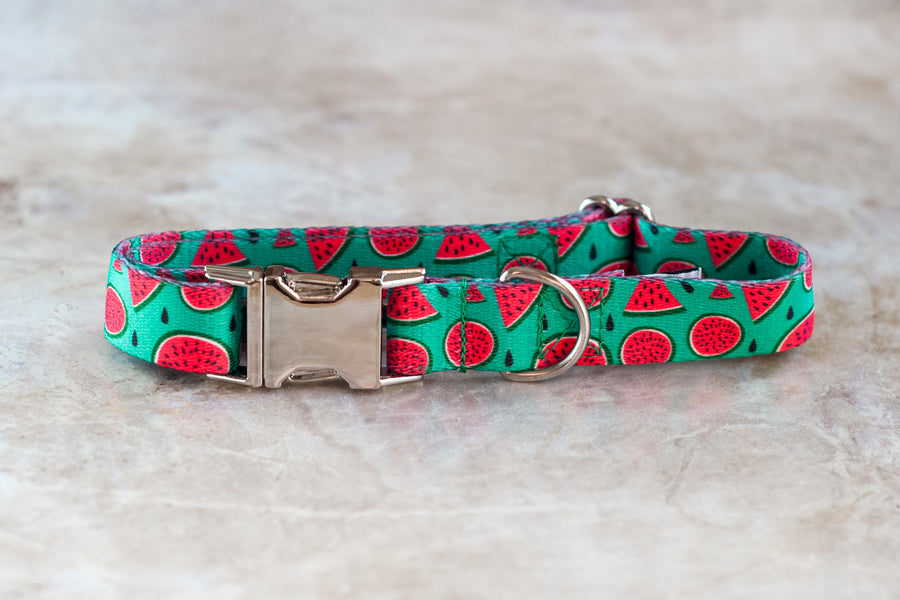 Magali Collar