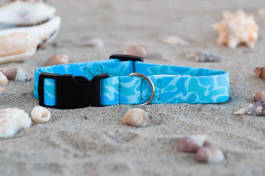 Alga Collar