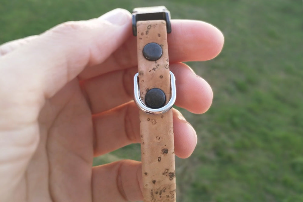Baco Mini Collar