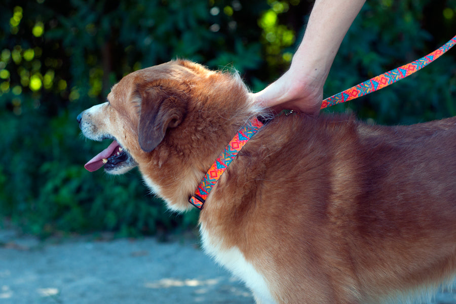Itza Collar