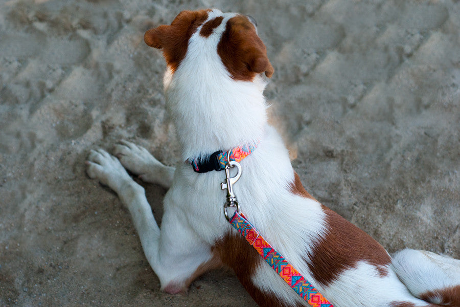 Itza Collar