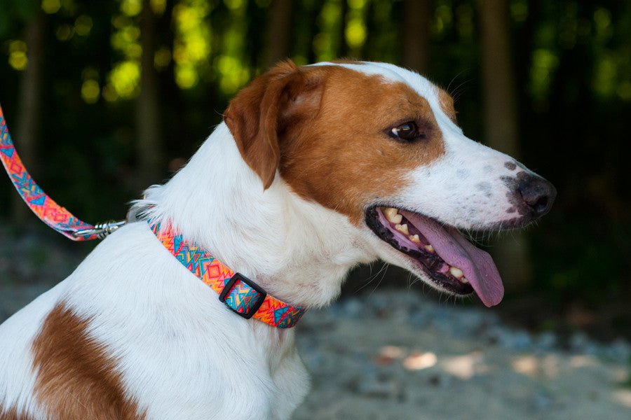 Itza Collar