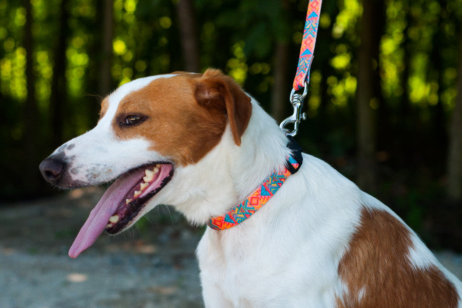 Itza Collar