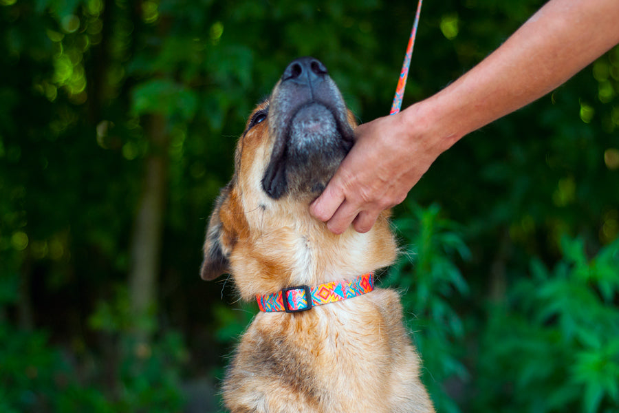Itza Collar