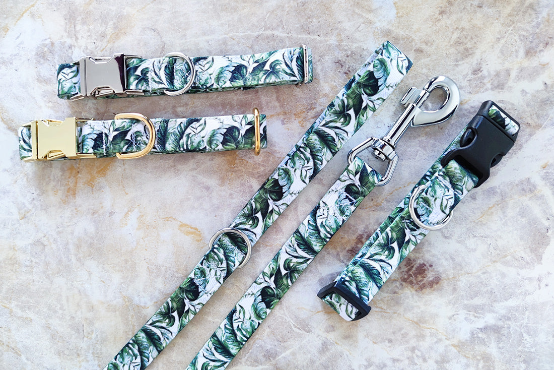Jungle Collar