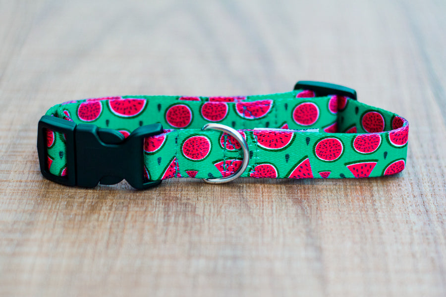 Magali Collar
