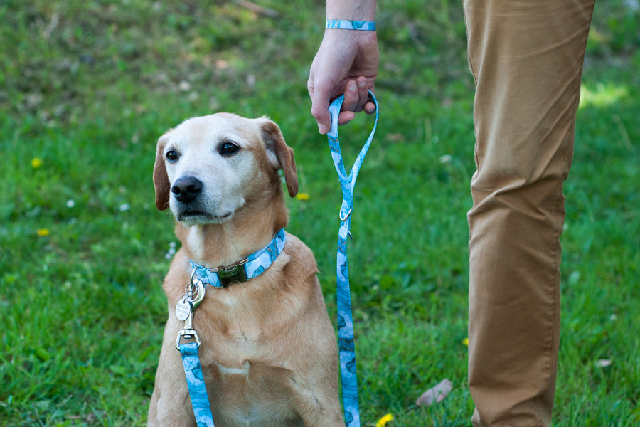 Marbelous Leash