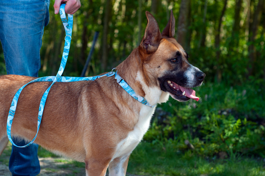 Marbelous Leash