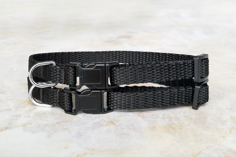 Basic Mini Collar
