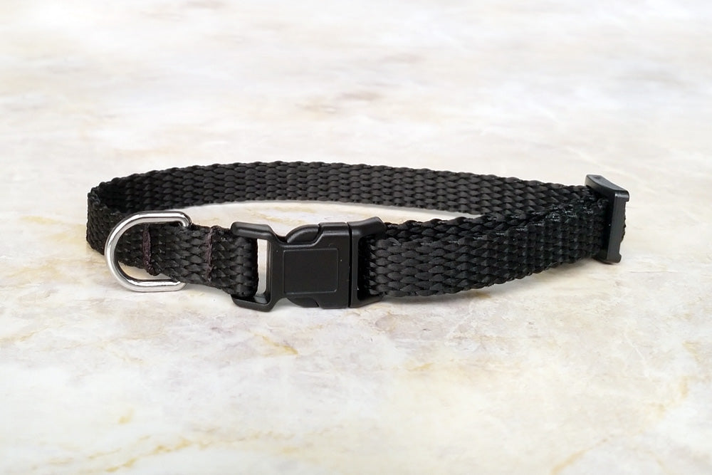 Basic Mini Collar