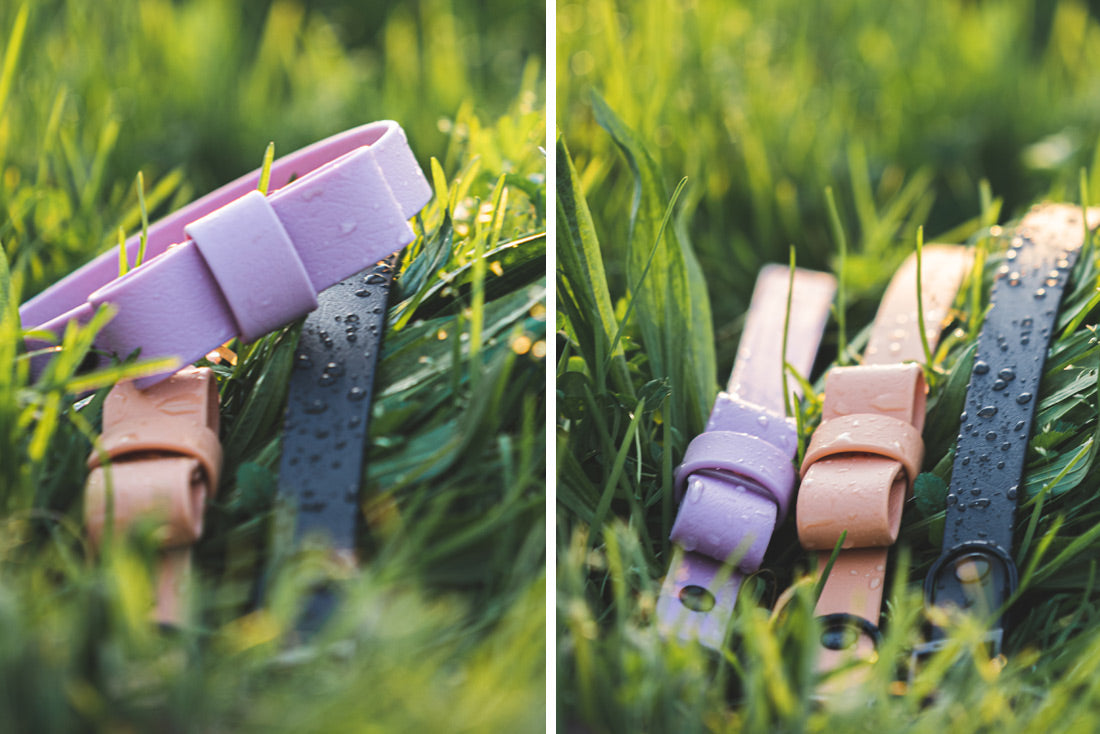 Classic Lavender Collar