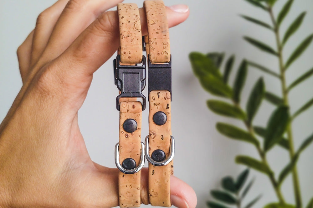 Baco Mini Collar