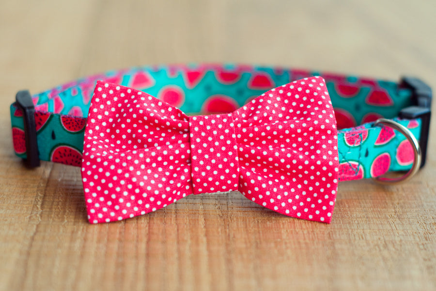 Lincoln Bowtie - Several Colors