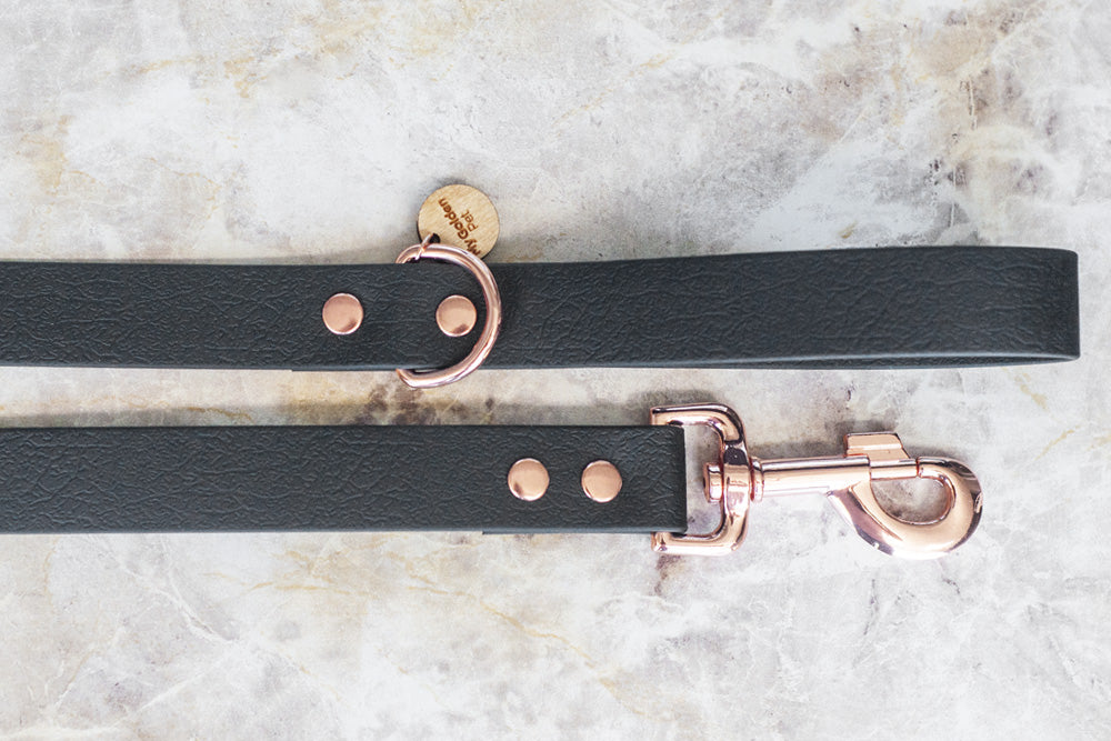 Meteor Leash