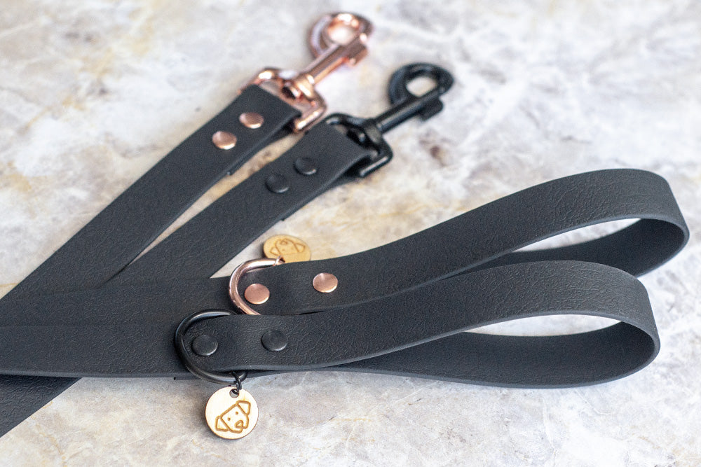 Meteor Leash