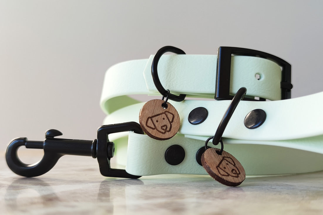 Mint Leash