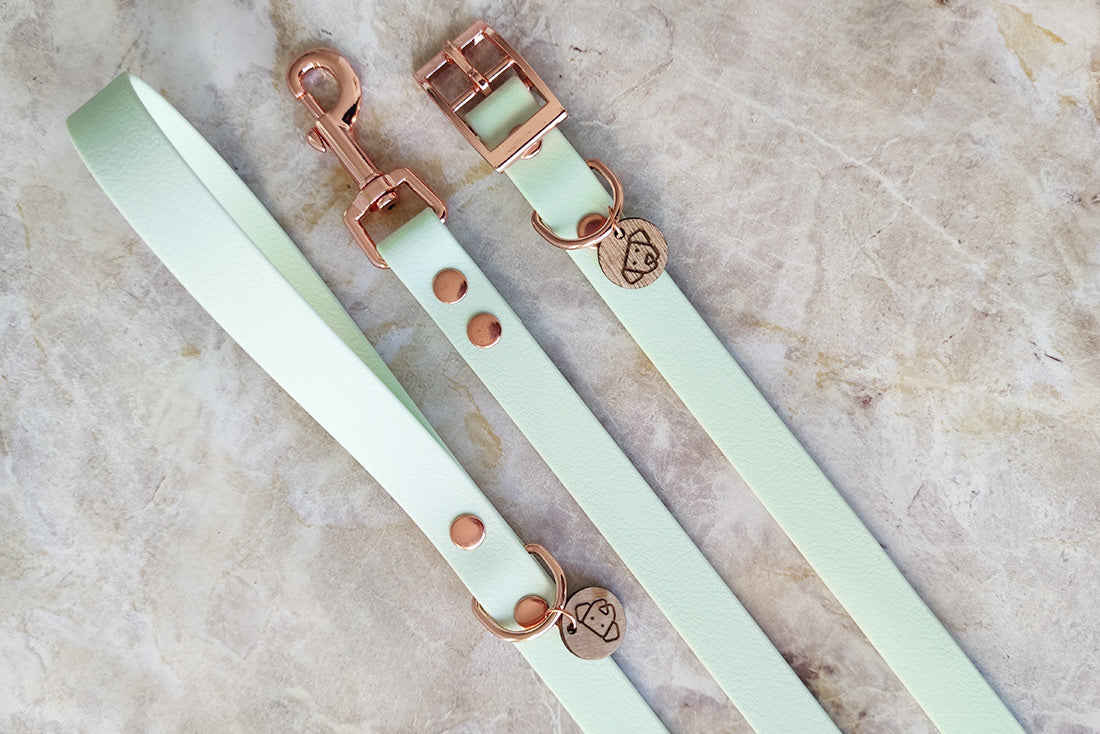 Mint Leash