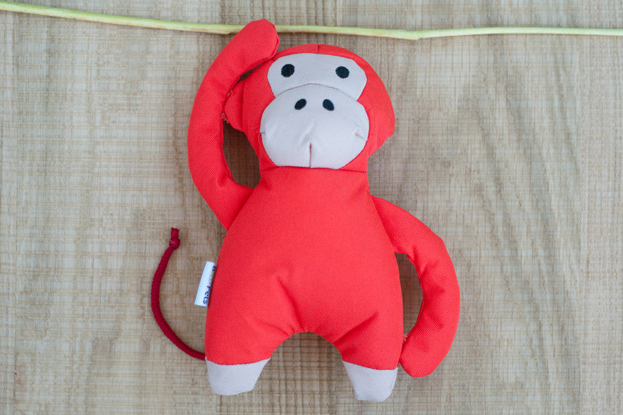 Michelle Monkey