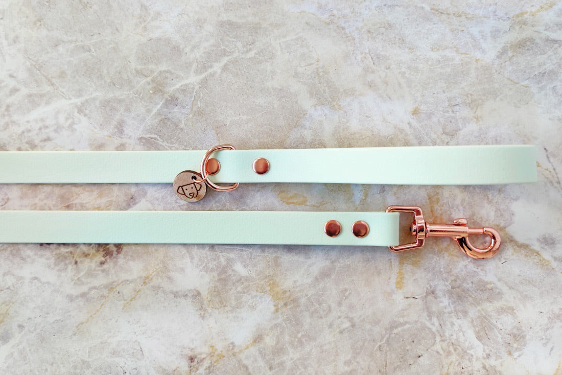 Mint Leash