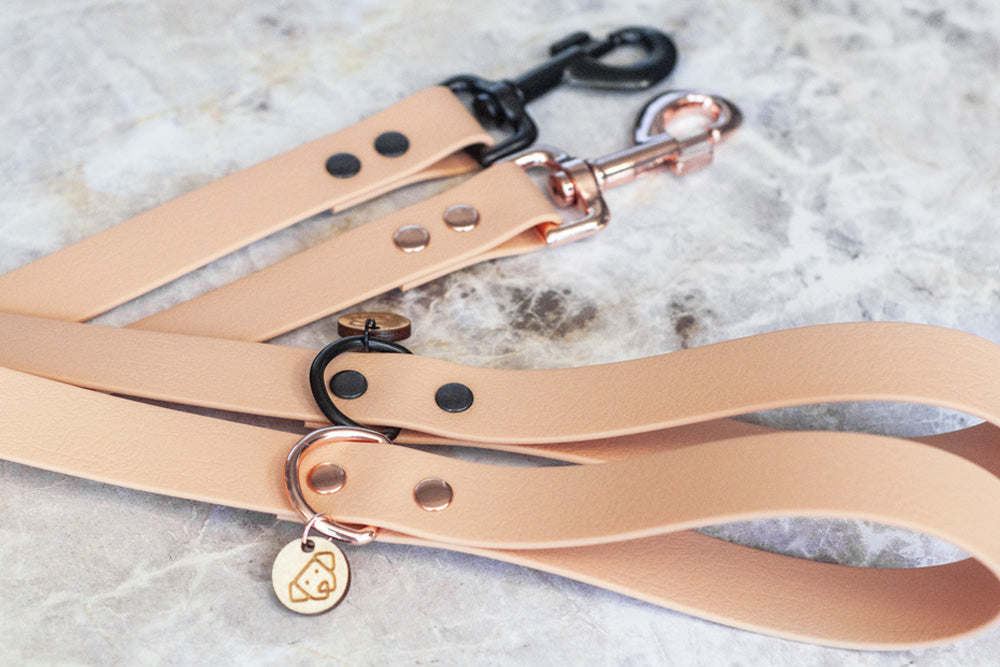 Sahara Leash
